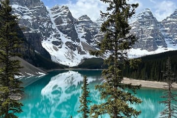Lake Louise, Moraine Lake, Peyto Lake, Crowfoot Tour from Calgary