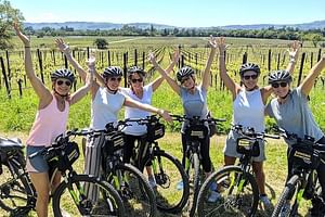 Saint Emilion Private e-Bike Winery Tour with Picnic Lunch