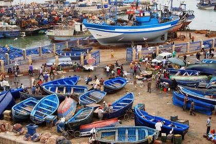 from agadir : Essaouira – guided day trip