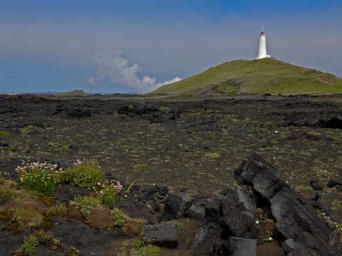 Reykjanes Peninsula Tour, photo 4