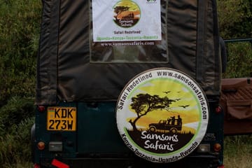 Night Game Drive Safari in Nairobi National Park
