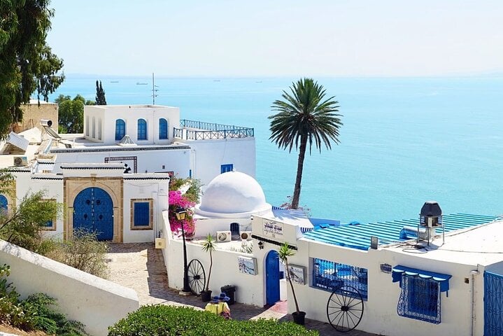 By Hammamet Sidi Bousaid Carthage Medina of Tunis 10