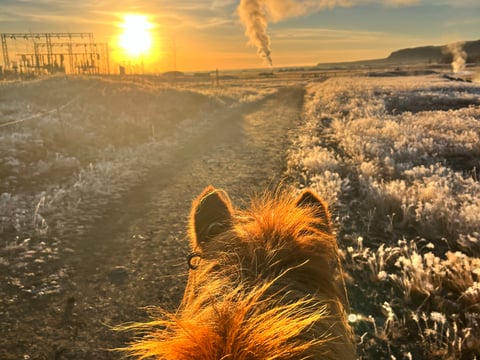05C - Riding and Relaxation, photo 2