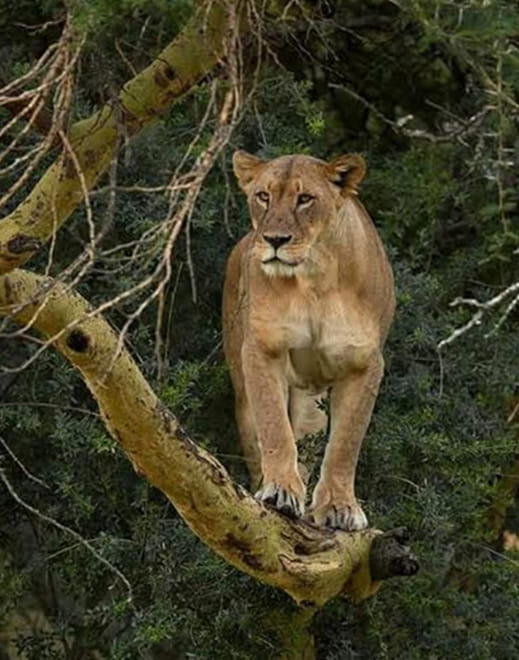 Day Trip To Lake Nakuru National Park photo 2