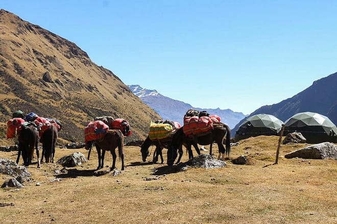 Salkantay Trek Private Service