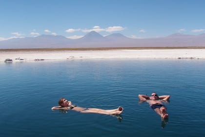Full day Geyser del Tatio + Cejar Lagoon