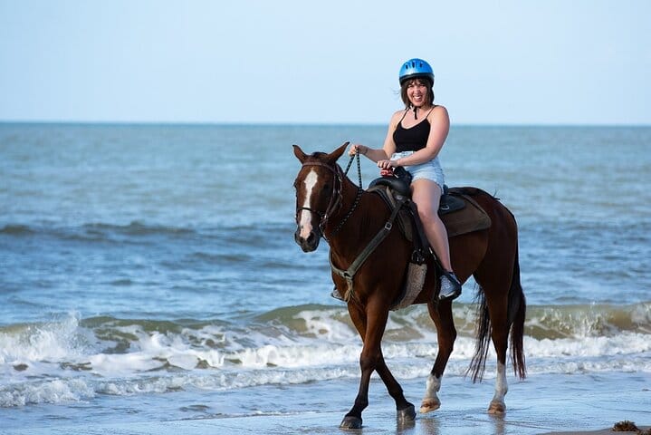 3-Hour Swim with Horses Experience in Hurghada