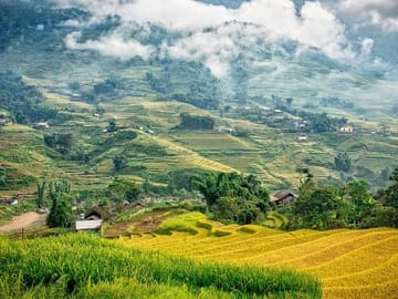 Sapa
