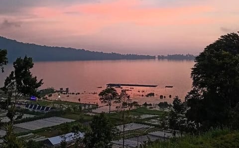 Bali Eco Walking Tour at Beratan Lake with Authentic Lunch
