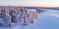Further to the Wilderness - Rovaniemi 8