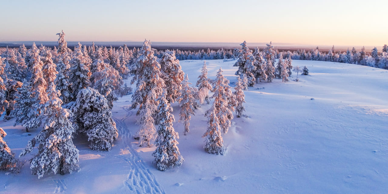 Further to the Wilderness - Rovaniemi 8