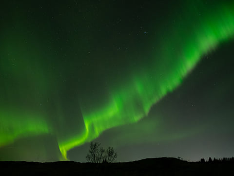 Northern Lights in Mini Bus with Local Pastries, Hot Chocolate and Photos, photo 6