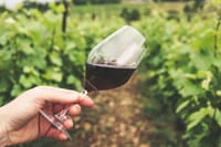 Wine Tastings and Visit to 3 Cellars in Chianti with Lunch&Transfer 1
