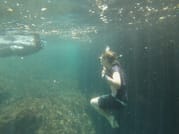 Kayak Calanques et Îles de Marseille 10