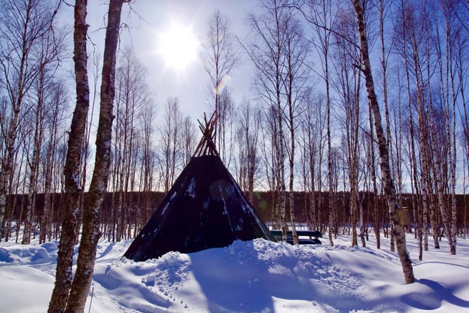 3 Hours Skiing Trip to the Arctic Nature photo 6