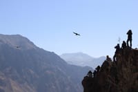 Colca Valley Overnight Tour from Arequipa
