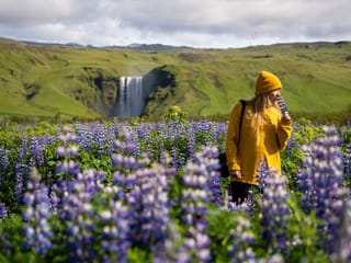 5-Day Small Group Journey Around Iceland, photo 29