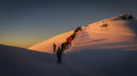 8-Day Mount Kilimanjaro Trek: Exclusive Lemosho Route Scenic Expedition 7
