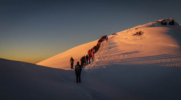 8-Day Mount Kilimanjaro Trek: Exclusive Lemosho Route Scenic Expedition 7