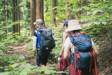 From Hue City: Private Hiking Day Trip at Bach Ma National Park