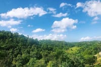 Bob Marley's Nine Mile Day-Trip with guided tour from Montego Bay 9