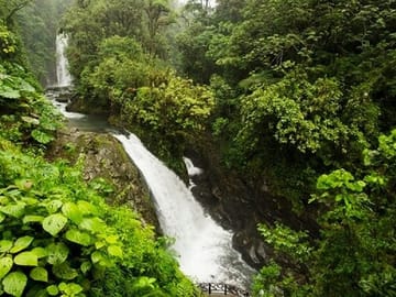 La Paz Waterfalls Half-Day Tour from San José, Costa Rica
