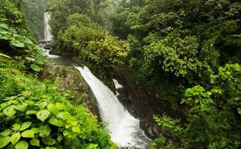 La Paz Waterfalls Half-Day Tour from San José, Costa Rica