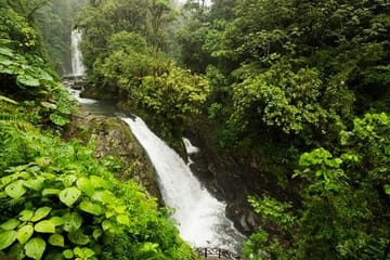 La Paz Waterfalls Half-Day Tour from San José, Costa Rica