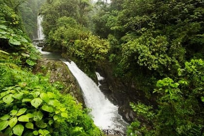 La Paz Waterfalls