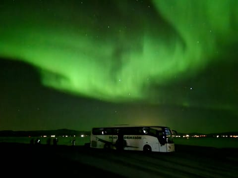 Private Winter Golden Circle Tour with Northern Lights