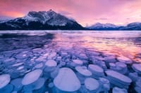 Ice Bubbles at Abraham Lake/Sunwapta Falls 2