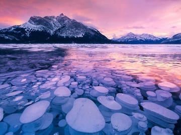 Winter Tour to Peyto Lake Ice Bubbles in Banff, Canada