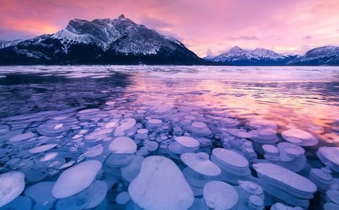 Ice Bubbles and Sunwapta Falls Tour in Banff National Park