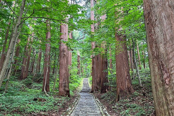 Mount Haguro E-Bike Sightseeing Tour in Yamagata, Japan