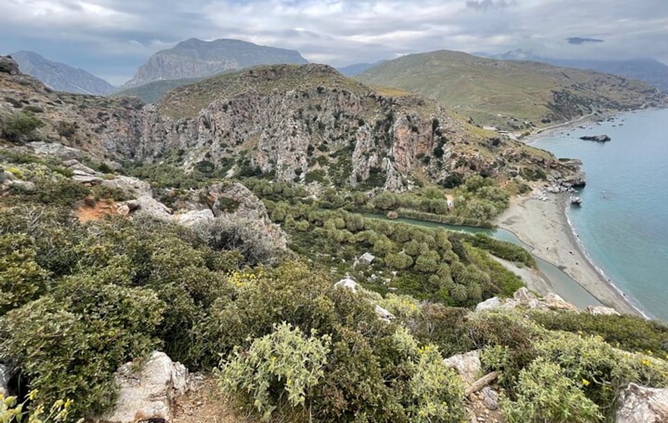 Private Tour of Preveli Beach and Kourtaliotiko Gorge, Crete