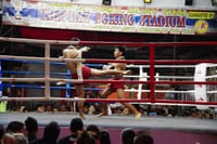 Chiang Mai's Thapae Muay Thai Boxing Stadium 6