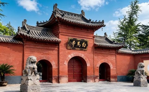 Luoyang City Highlights Tour with Museums and Lunch