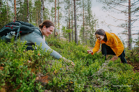 Makumatka luontoon: keräillen ja kokkaillen gourmeeta Laukaa