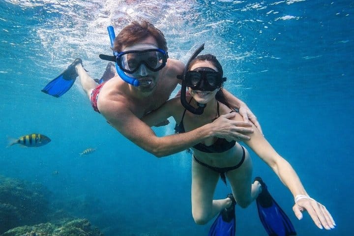 Samaná Snorkel Tour and Sailing Cayo La Farola Reef Day 6