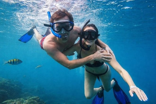 Samaná Snorkel Tour and Sailing Cayo La Farola Reef Day photo 6