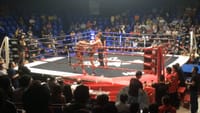 Max Muay Thai Boxing Pattaya 7