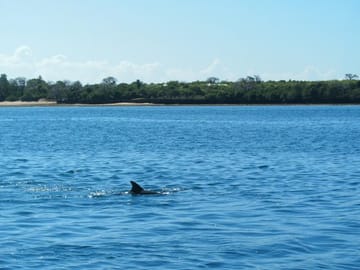 Wasini Island