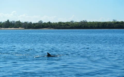 4-Day All-Inclusive Beach Tour in Mombasa, Kenya