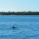 Wasini Island