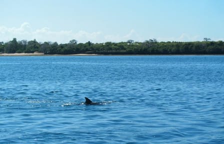 4-Day All-Inclusive Beach Tour in Mombasa, Kenya