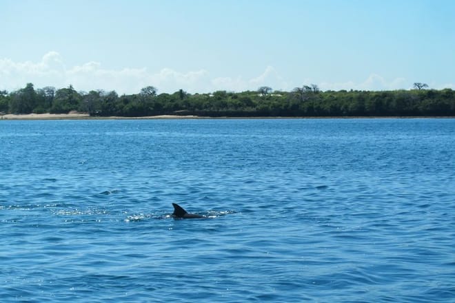 Wasini Island