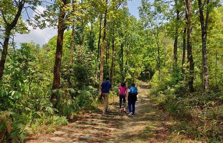 Namo Buddha Hiking Day Trip from Kathmandu with Expert Guide