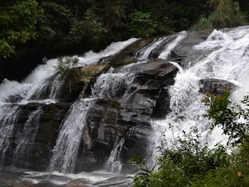 Morning Hiking Doi Inthanon+Pachor The grand canyon
