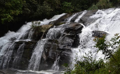 Morning Hike at Doi Inthanon and Pachor Grand Canyon