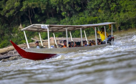 Taman Negara Nature Tour with Lata Berkoh Falls Visit